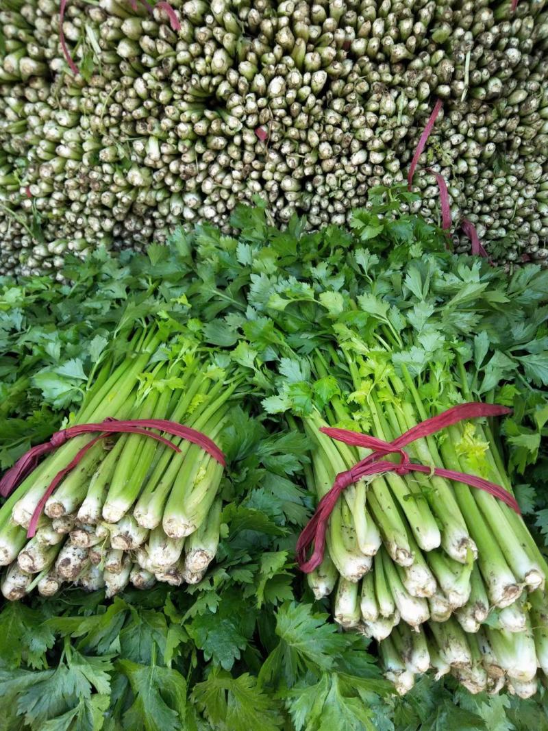 芹菜