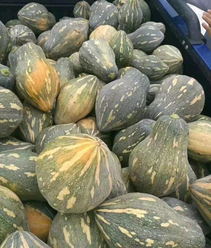 正宗香芋南瓜种籽子香甜软糯香芋味南瓜籽种春秋农家