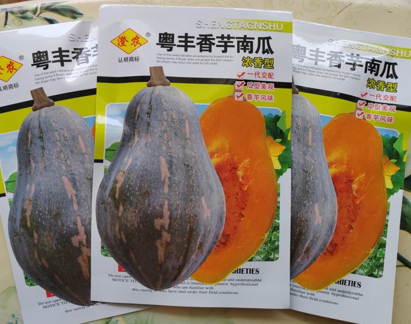 正宗香芋南瓜种籽子香甜软糯香芋味南瓜籽种春秋农家