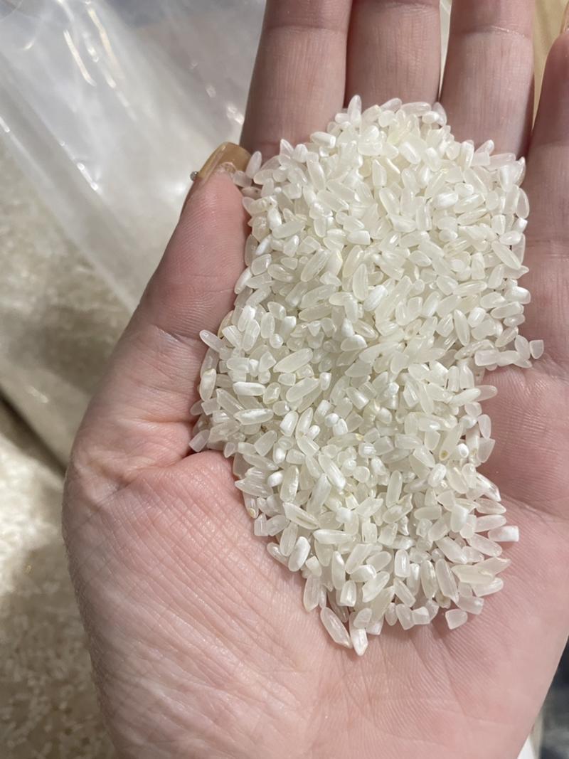 五常稻花香新米抛光大碎小碎厂家直发价格优惠
