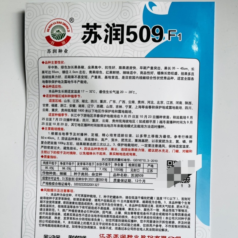 苏润509线椒种子早熟杂交品种种子青皮线椒品种种子
