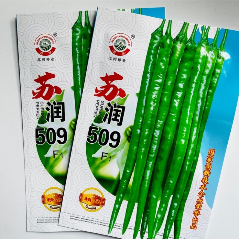 苏润509线椒种子早熟杂交品种种子青皮线椒品种种子