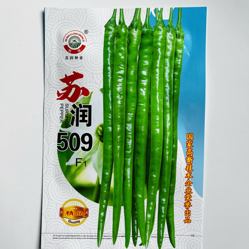 苏润509线椒种子早熟杂交品种种子青皮线椒品种种子