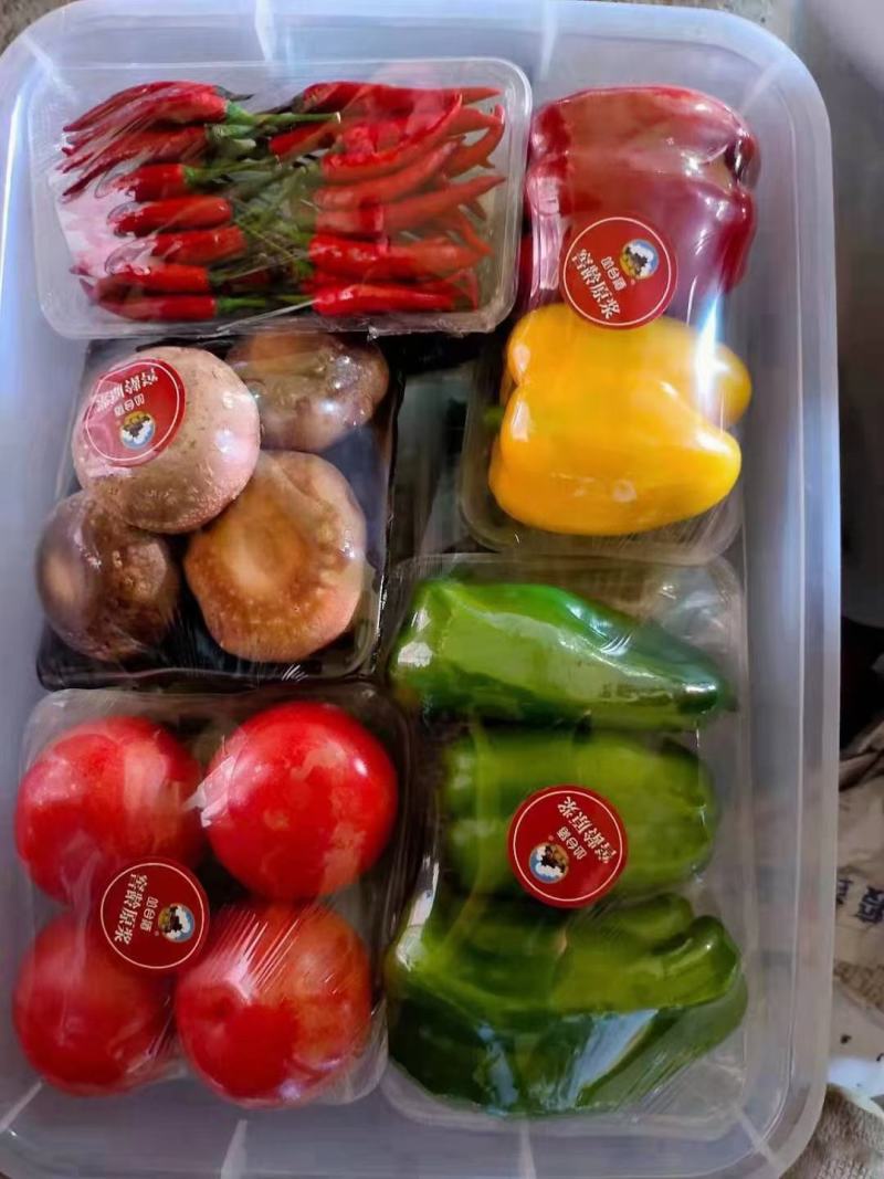 蔬菜大礼包！全国发货，一件代发！无公害有机蔬菜。精品包装