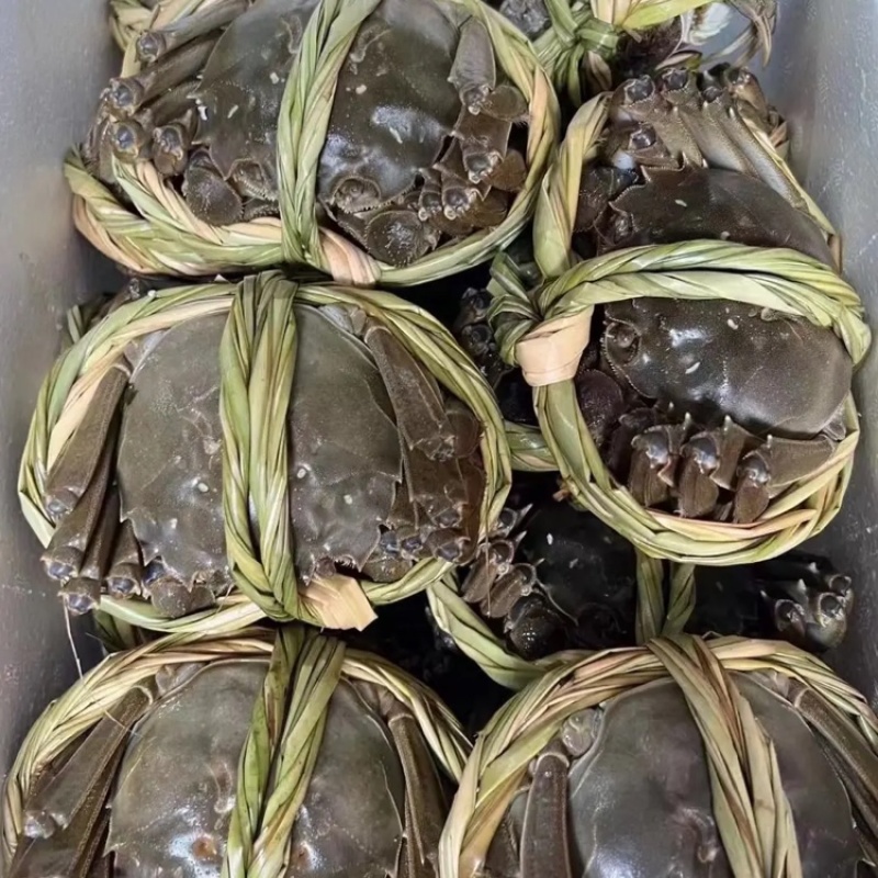 【精品】固城湖大闸蟹公蟹3.0两新鲜食用，质量保证