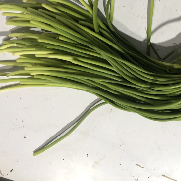 蒜苔全年供应电商商超。。