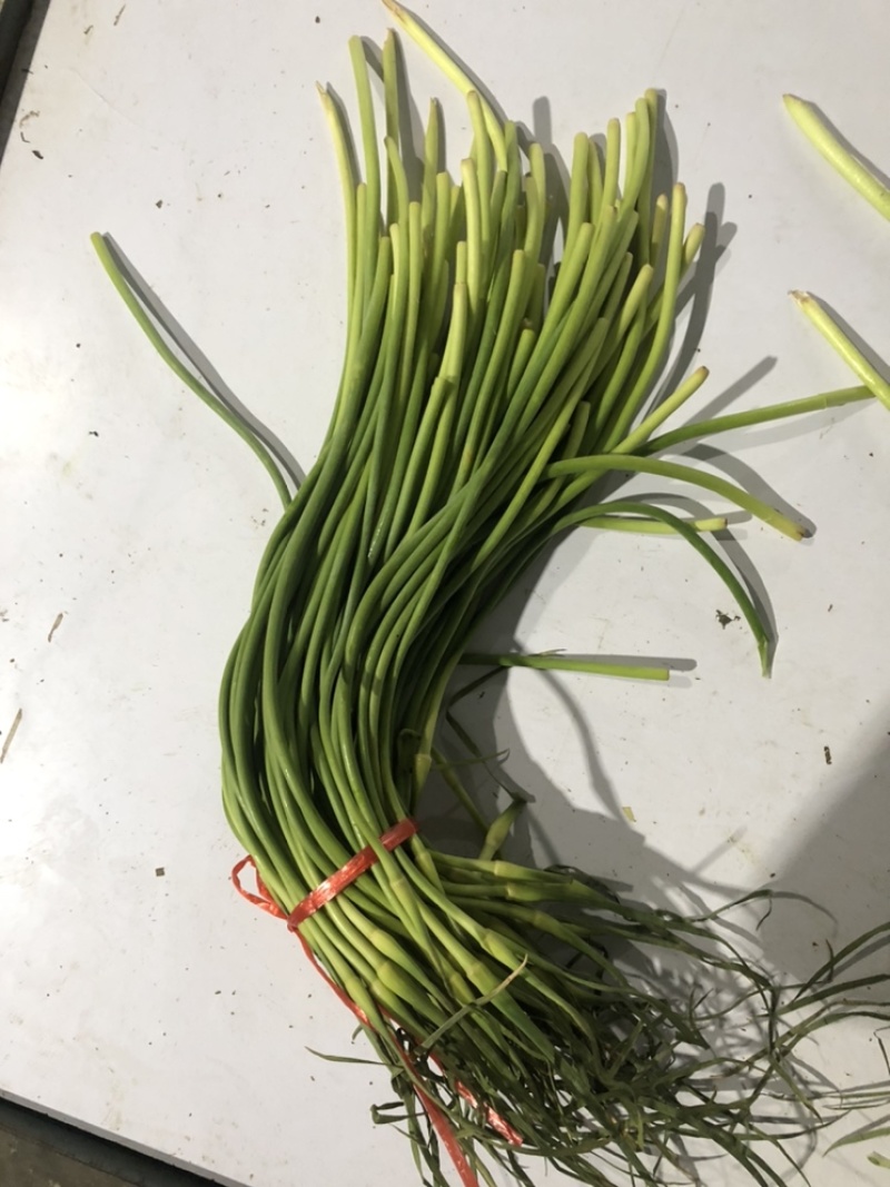 蒜苔全年供应电商商超。。