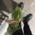 蒜苔全年供应电商商超。。
