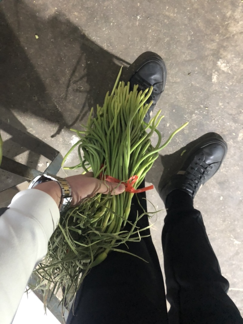 蒜苔全年供应电商商超。。