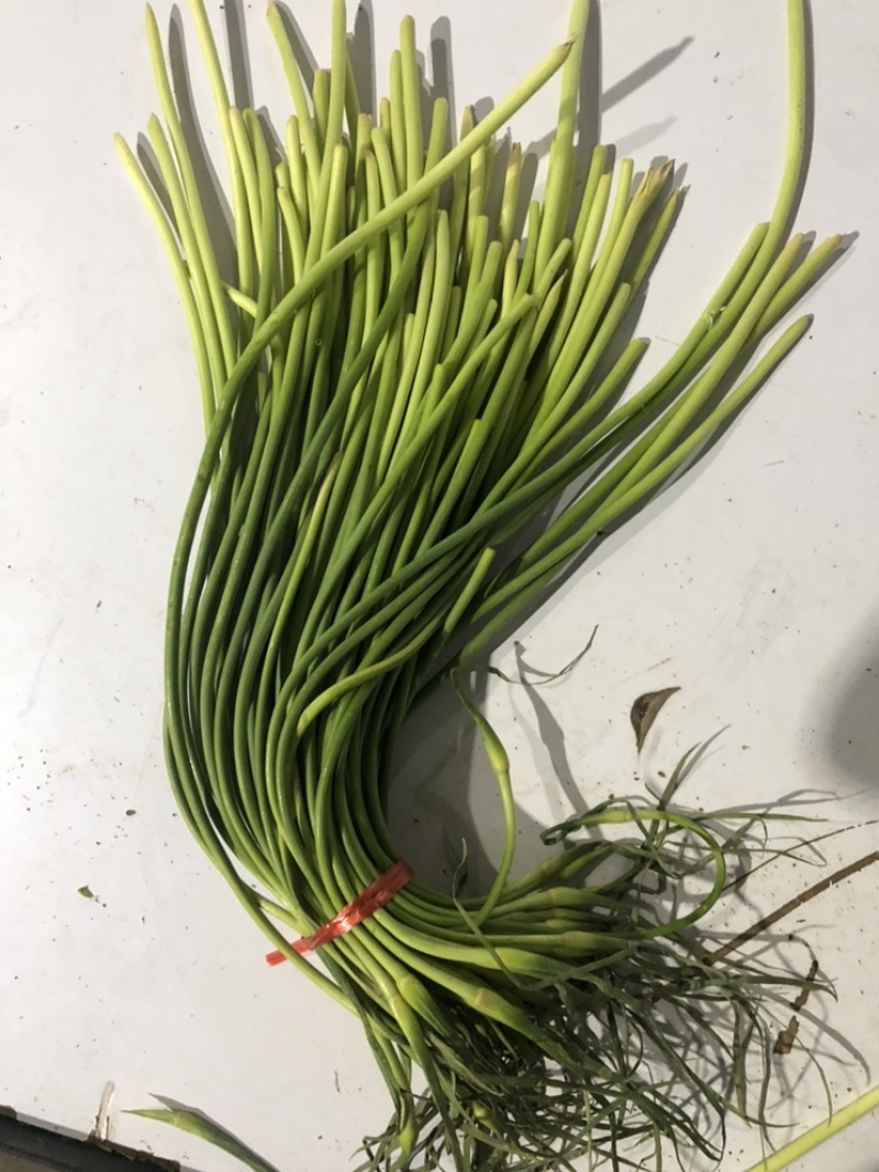 蒜苔全年供应电商商超。。