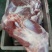 内蒙古锡林郭勒羔羊前腿，6至8条装。肉质鲜美。