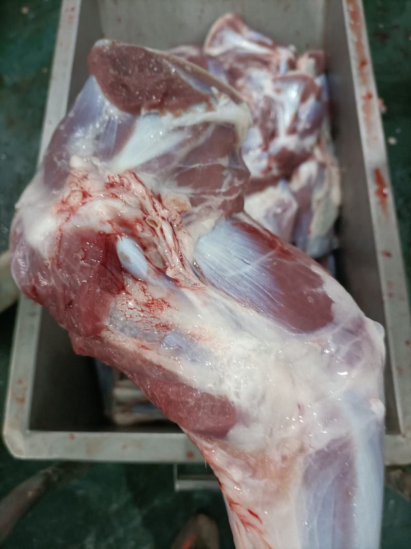 内蒙古锡林郭勒羔羊前腿，6至8条装。肉质鲜美。