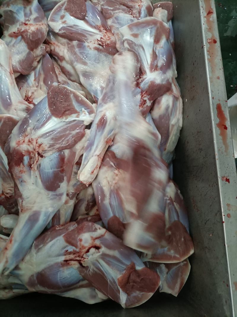 内蒙古锡林郭勒羔羊前腿，6至8条装。肉质鲜美。