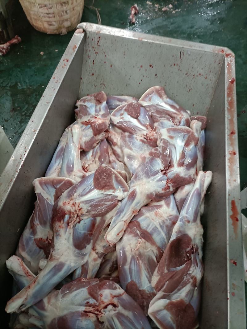 内蒙古锡林郭勒羔羊前腿，6至8条装。肉质鲜美。