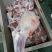 内蒙古锡林郭勒羔羊前腿，6至8条装。肉质鲜美。