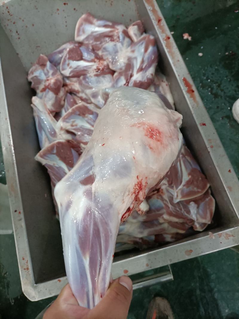 内蒙古锡林郭勒羔羊前腿，6至8条装。肉质鲜美。