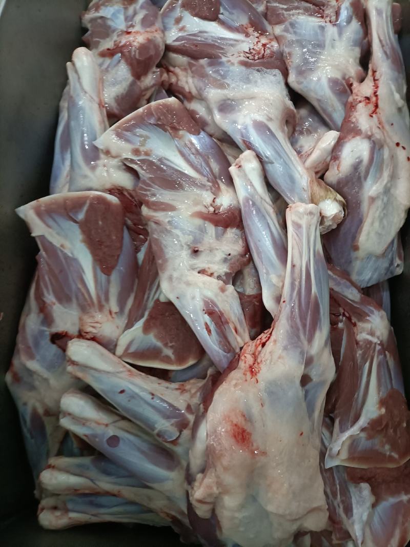 内蒙古锡林郭勒羔羊前腿，6至8条装。肉质鲜美。