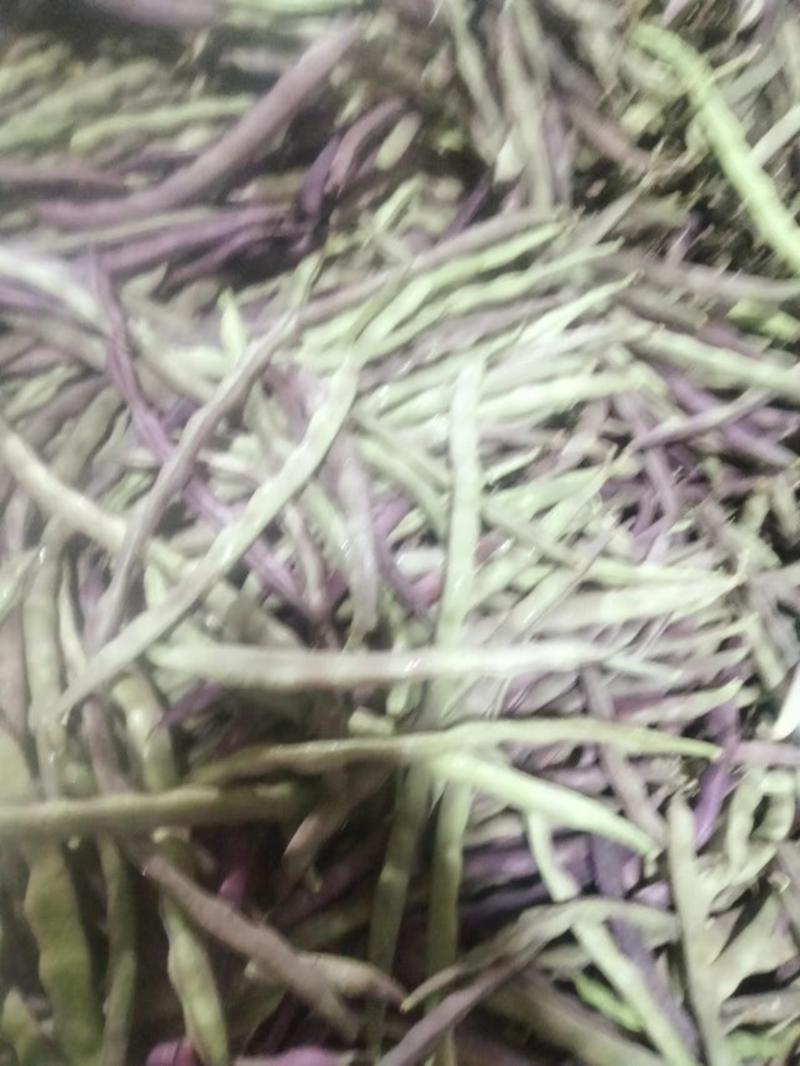 云南紫豆品质保证诚信经营欢迎联系联系接商超市场电商