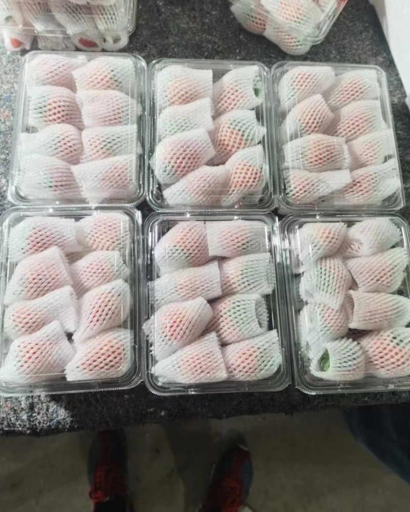 徐州草莓奶油草莓刚刚上市甜草莓，代发全国批发市场