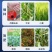 施肥神器追肥玉米果树上肥料播种点播器种花生大豆蔬菜施肥器