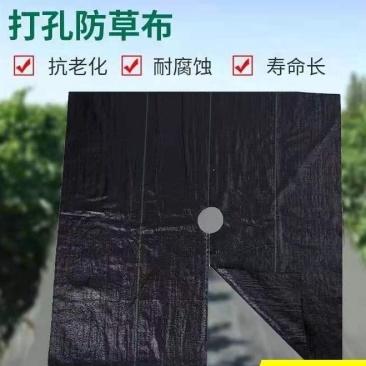 除草布防草布片单张打孔切片果园加厚黑色塑料抗老化农用防草