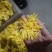 大量出售，金丝菊，苏北菊，胎菊，