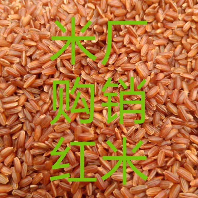 红米米厂大量现货，专业加工质优价廉，可开专票