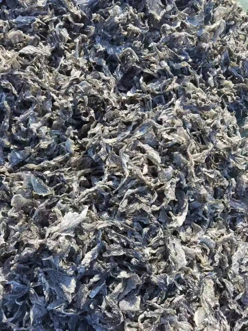 干鳕鱼皮自然晾晒物优价廉品质保证常年供应
