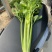 精品芹菜