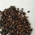 血糯米专业生产厂家，质优价廉物美，可开专票，理想首先产品
