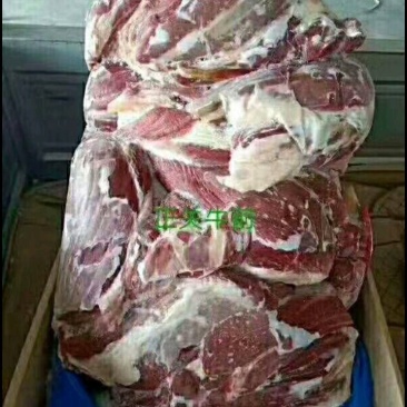 牛前肉牛腱子牛前肉牛腱子牛前肉牛腱子牛前肉牛腱子