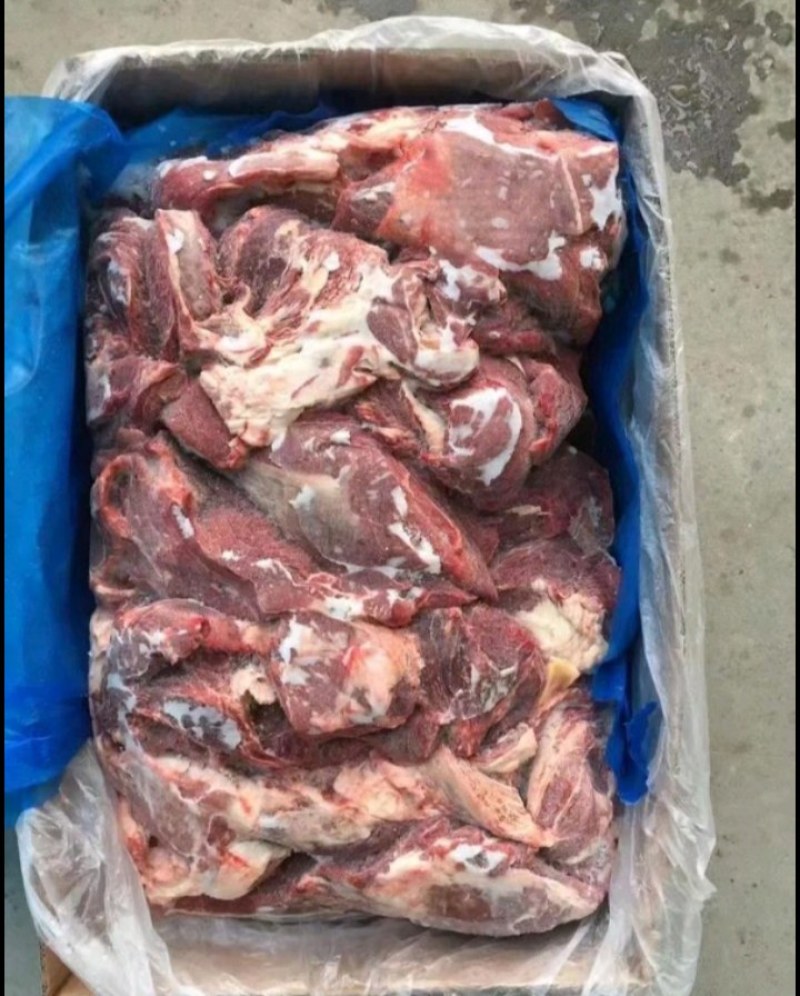 牛前肉牛腱子牛前肉牛腱子牛前肉牛腱子牛前肉牛腱子