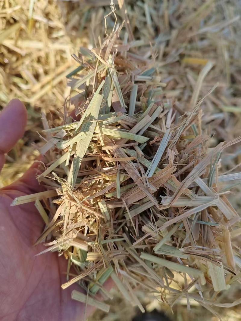 稻草治沙稻草、治沙草、手把草，长度80公分以上。