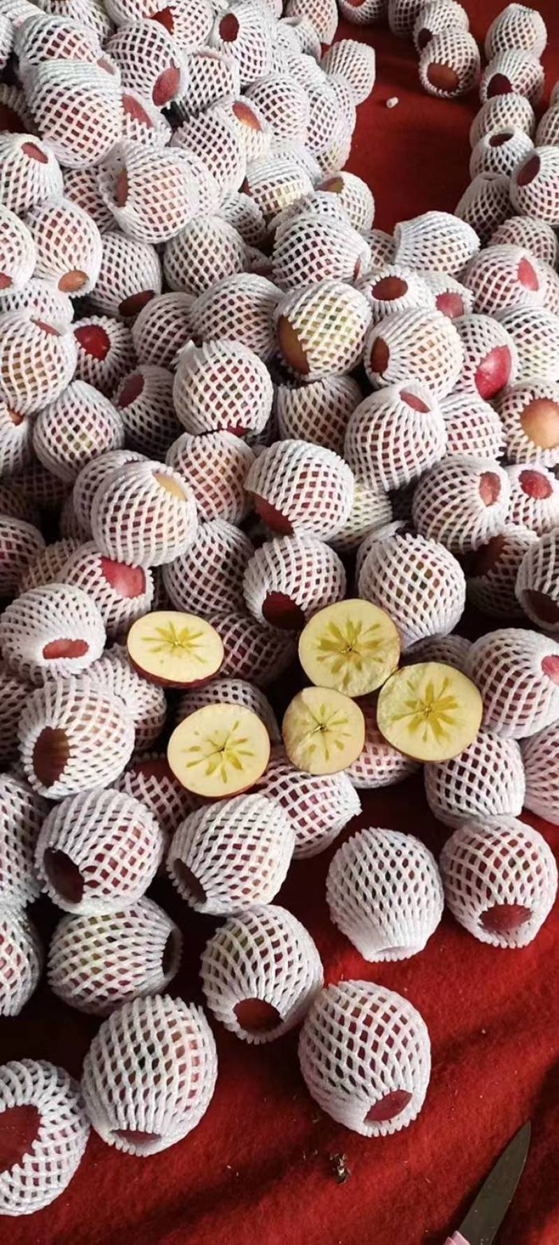 【精品】云南昭通苹果，产地批发，一手货源，大量上市