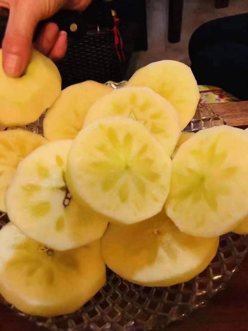 【精品】云南昭通苹果，产地批发，一手货源，大量上市