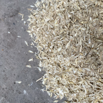 酿酒谷壳过机麦壳牛羊饲料长期供应货源充足欢迎联系