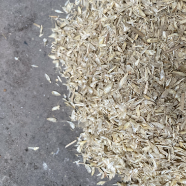 酿酒谷壳过机麦壳牛羊饲料长期供应货源充足欢迎联系