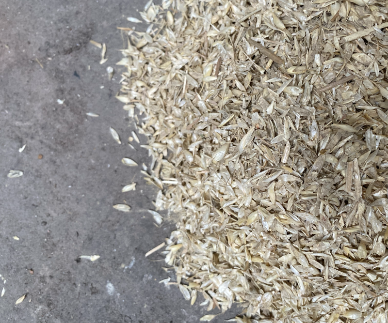 酿酒谷壳过机麦壳牛羊饲料长期供应货源充足欢迎联系
