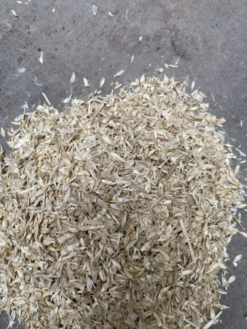 酿酒谷壳过机麦壳牛羊饲料长期供应货源充足欢迎联系