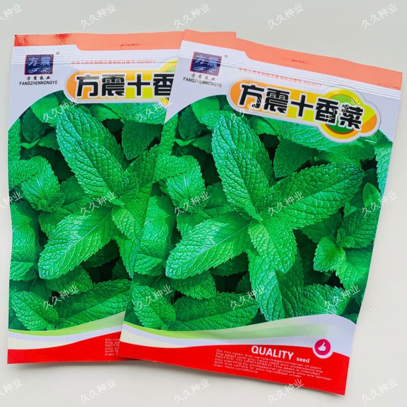 十香菜种籽种子河南十香菜薄荷食用鱼香草四季鱼香菜盆栽孑
