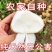 《推荐》农家新鲜凉薯地萝卜白地瓜沙葛土地瓜蔬菜水果地瓜