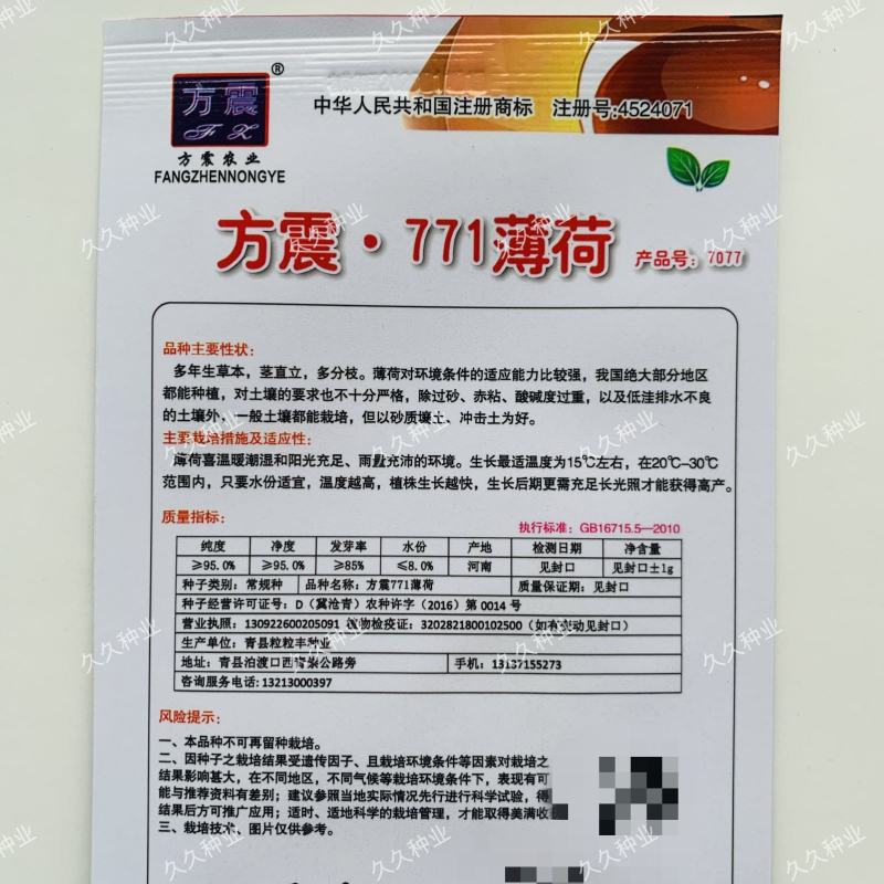 食用薄荷食用薄荷种子四季种植易活蔬菜种子柠檬香水薄荷