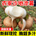 《优选》四川凉山精品凉薯现挖现发产地直供持续供应