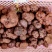 《精品》松露新鲜，质量保证，价格优惠，欢迎订购