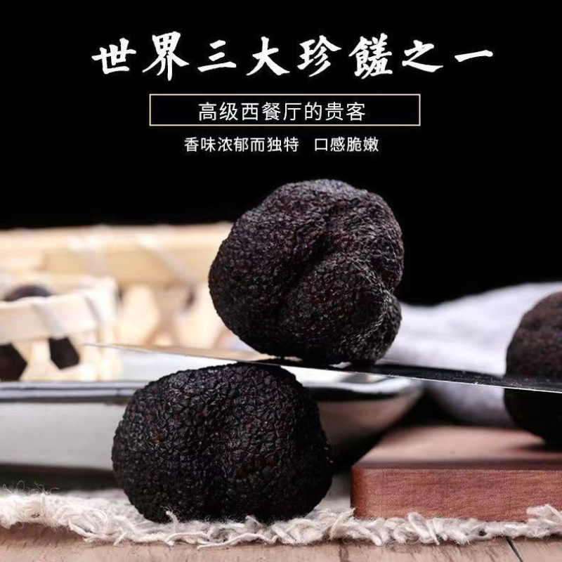《精品》松露新鲜，质量保证，价格优惠，欢迎订购