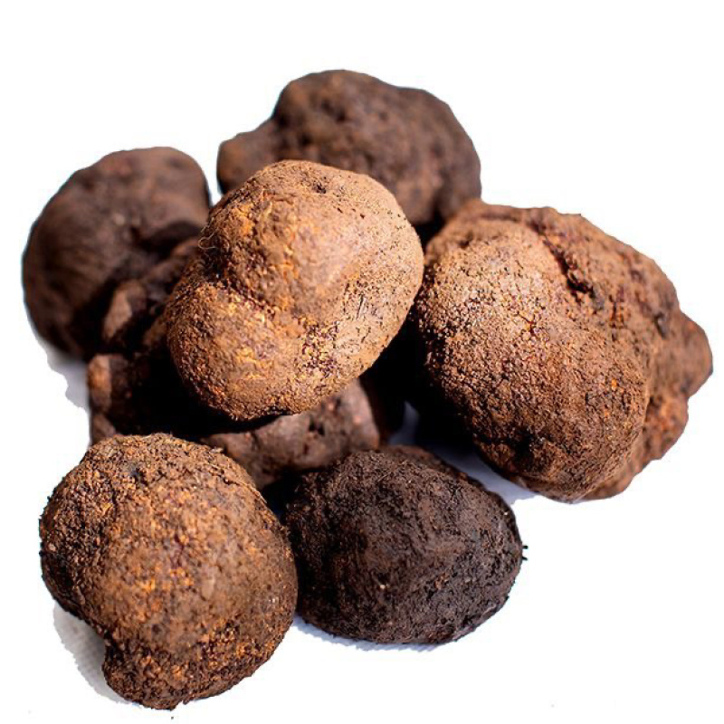 《精品》松露新鲜，质量保证，价格优惠，欢迎订购
