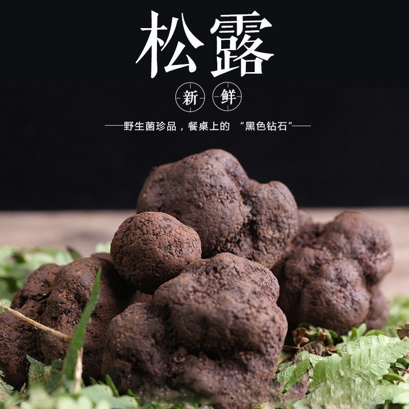 《精品》松露新鲜，质量保证，价格优惠，欢迎订购