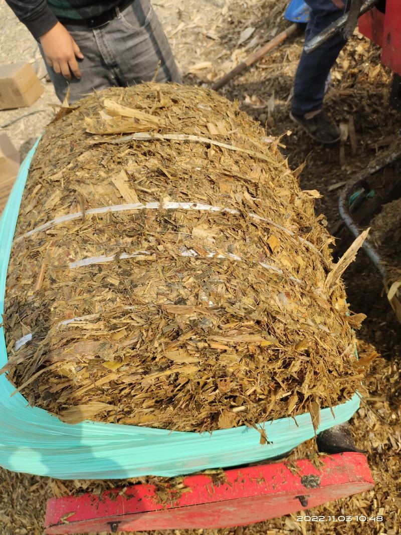 牛羊优质草料黄储