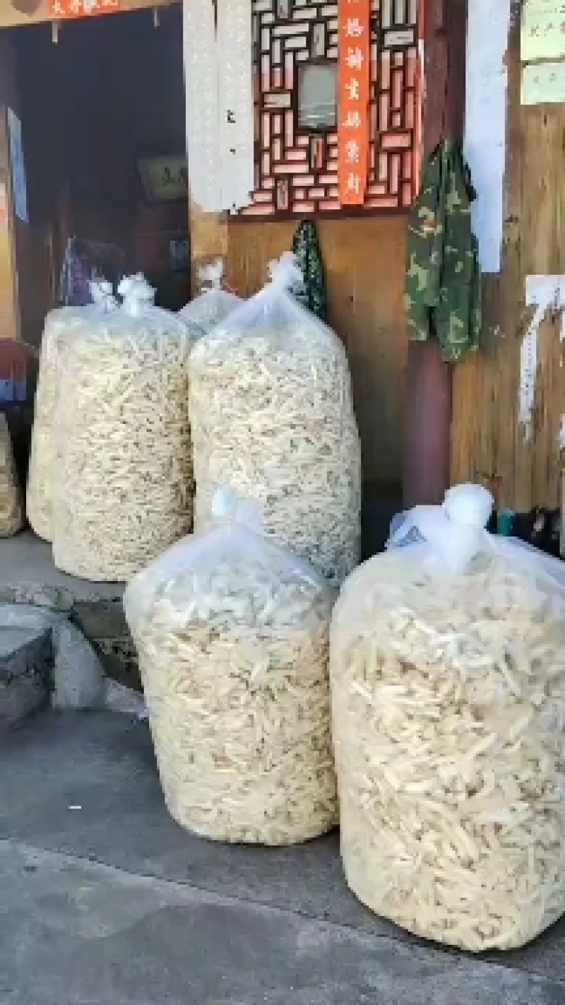 红托竹荪，高山种植空气清新无污染品质保证，欢迎致电