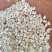 食用糙米，米厂批发，物美价廉，首先厂家，可以开专票。